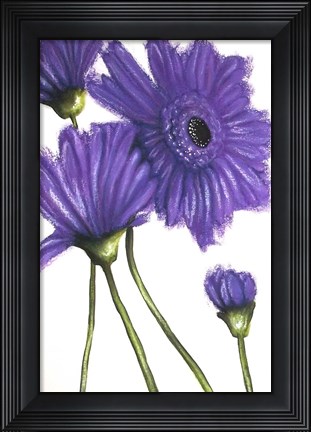 Framed Purple Gerberas 2 Print