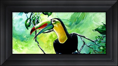 Framed Macaw Print