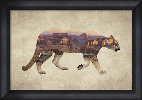 Framed Arizona Mountain Lion Print
