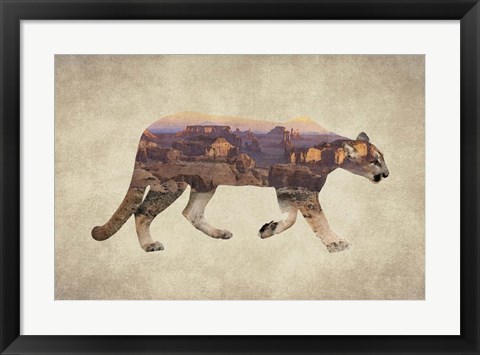 Framed Arizona Mountain Lion Print