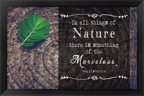 Framed In all things of Nature Print