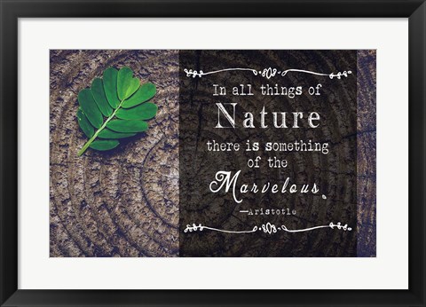 Framed In all things of Nature Print