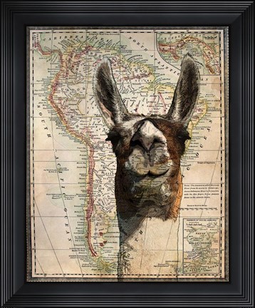 Framed South America Llama Map Print