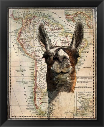 Framed South America Llama Map Print