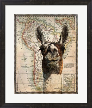 Framed South America Llama Map Print