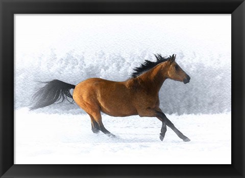 Framed Pop of Color Running Horse Print
