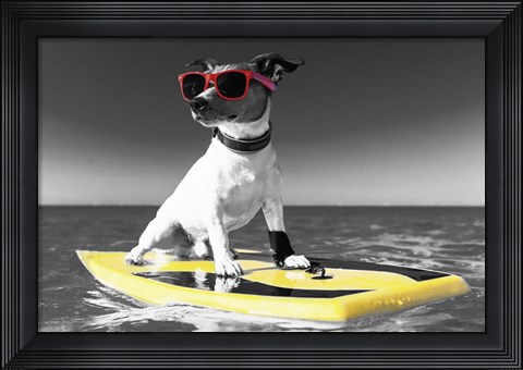 Framed Pop of Color Surf&#39;s Up Dog Print