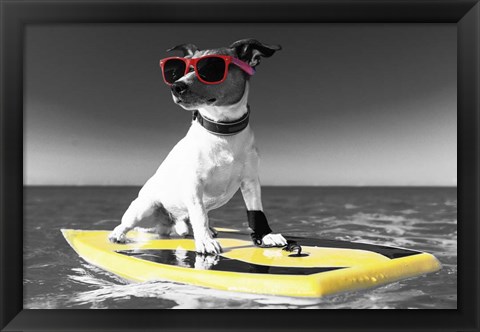 Framed Pop of Color Surf&#39;s Up Dog Print