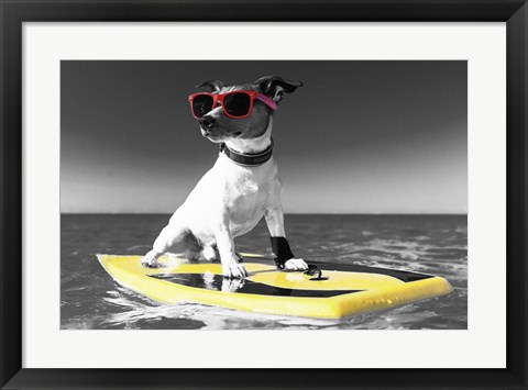 Framed Pop of Color Surf&#39;s Up Dog Print