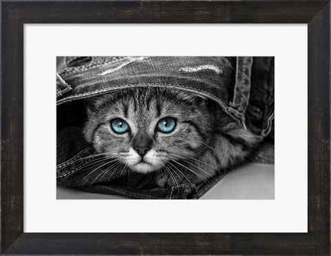 Framed Pop of Color Kitten Print