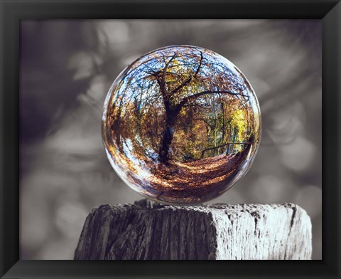 Framed Pop of Color Glass Sphere Print