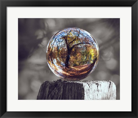 Framed Pop of Color Glass Sphere Print