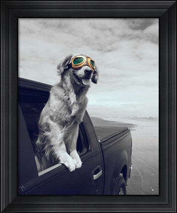 Framed Pop of Color Cool Dog Print