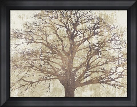 Framed Sacred Oak Print