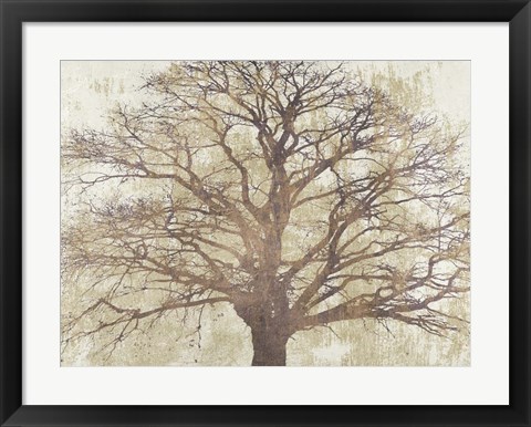 Framed Sacred Oak Print