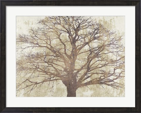 Framed Sacred Oak Print