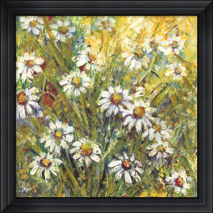 Framed Margherite nel Sole Print