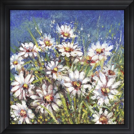 Framed Campo di Margherite Print