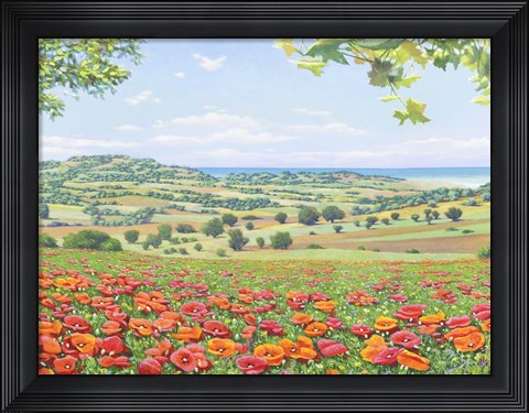 Framed Campo di Papaveri Print
