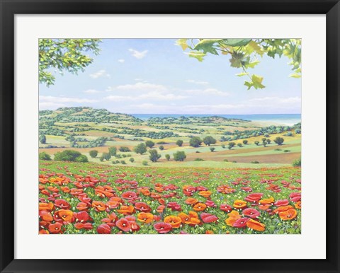 Framed Campo di Papaveri Print