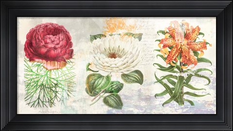Framed Hortus Botanicus 2.0 Print