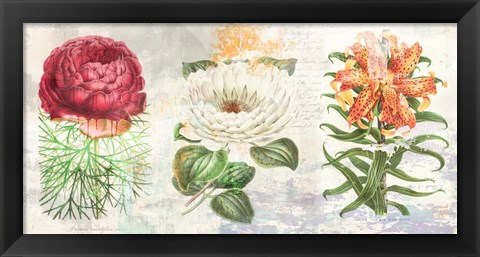 Framed Hortus Botanicus 2.0 Print
