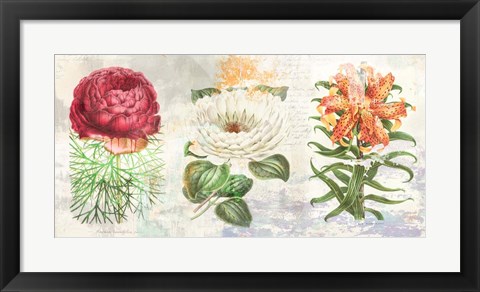 Framed Hortus Botanicus 2.0 Print
