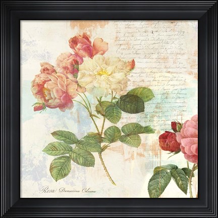 Framed Redoute&#39;s Roses 2.0 I Print