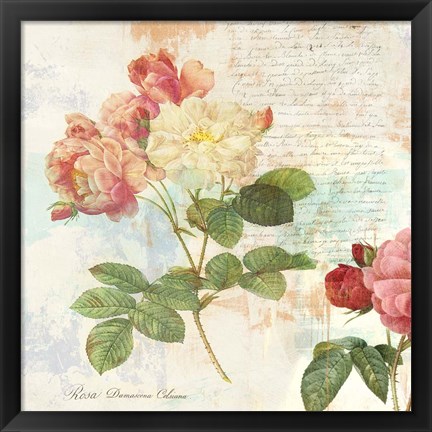 Framed Redoute&#39;s Roses 2.0 I Print