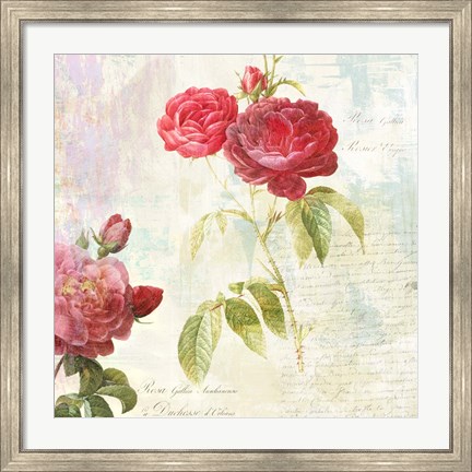 Framed Redoute&#39;s Roses 2.0 II Print
