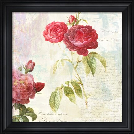 Framed Redoute&#39;s Roses 2.0 II Print