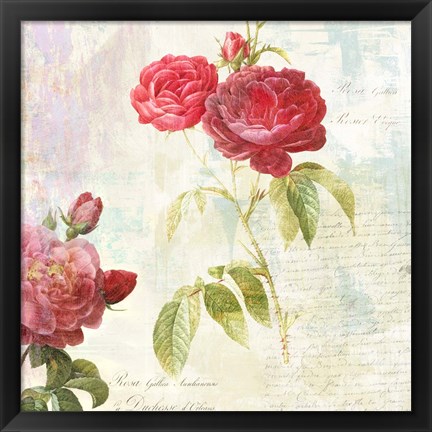 Framed Redoute&#39;s Roses 2.0 II Print