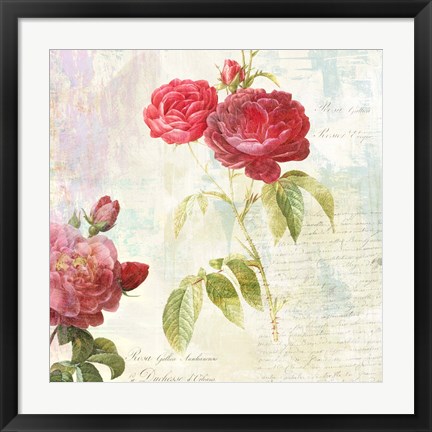 Framed Redoute&#39;s Roses 2.0 II Print