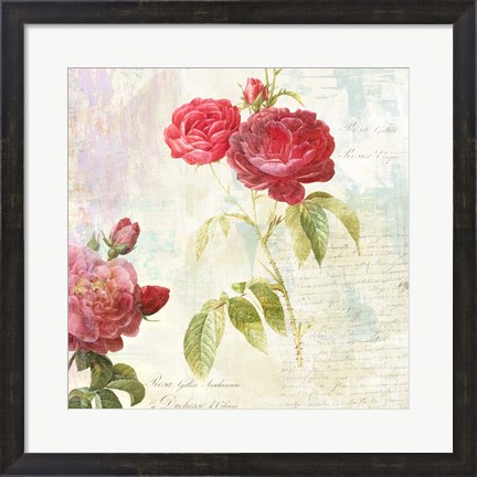 Framed Redoute&#39;s Roses 2.0 II Print