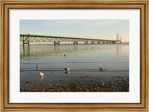 Framed Mackinac Bridge, Mackinaw City, Michigan Print