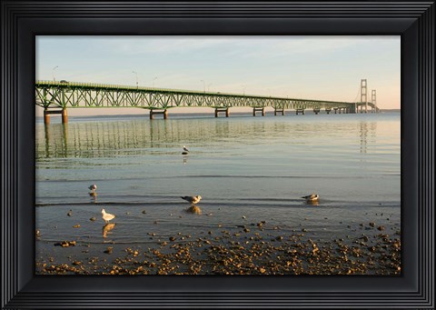 Framed Mackinac Bridge, Mackinaw City, Michigan Print