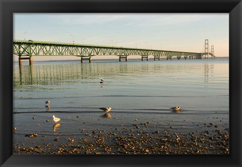 Framed Mackinac Bridge, Mackinaw City, Michigan Print