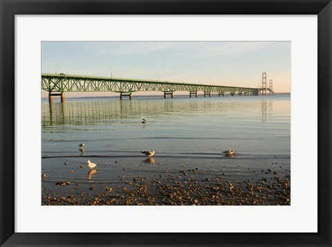 Framed Mackinac Bridge, Mackinaw City, Michigan Print