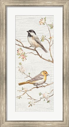 Framed Vintage Birds Panel II Print