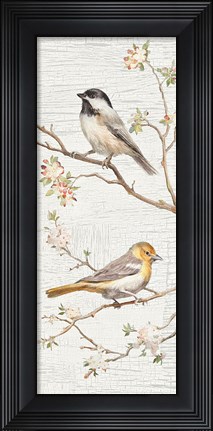 Framed Vintage Birds Panel II Print