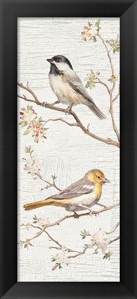 Framed Vintage Birds Panel II Print