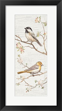 Framed Vintage Birds Panel II Print