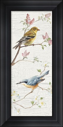 Framed Vintage Birds Panel I Print