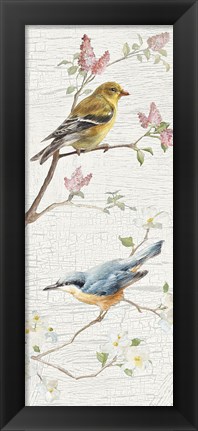 Framed Vintage Birds Panel I Print