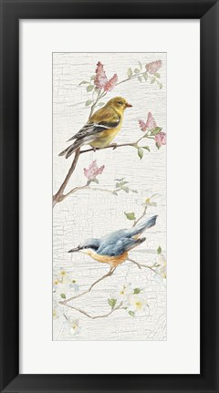 Framed Vintage Birds Panel I Print