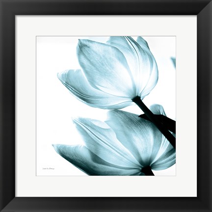 Framed Translucent Tulips II Sq Aqua Print