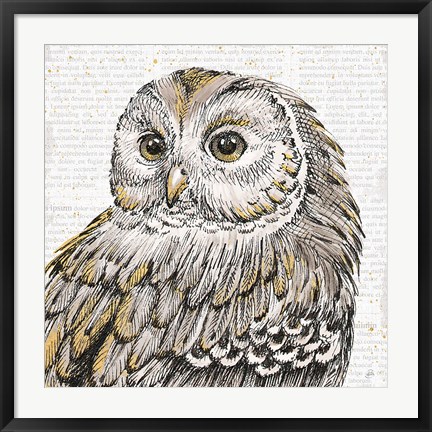 Framed Beautiful Owls I Print