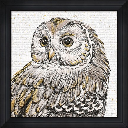 Framed Beautiful Owls I Print
