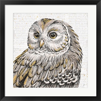 Framed Beautiful Owls I Print