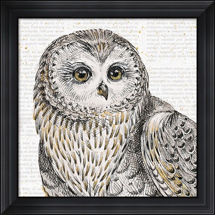 Framed Beautiful Owls II Print